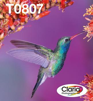 EPSON n Ink Cartridges,  Claria" Photographic,  T0807, Hummingbird,  Multipack,  1 x 7.4 ml Light Cyan, 1 x 7.4 ml Black, 1 x 7.4 ml Light Magenta, 1 x 7.4 ml Yellow, 1 x 7.4 ml Cyan, 1 x 7.4 ml Magenta (C13T08074510)