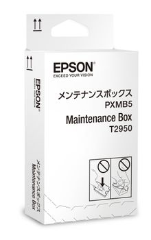 EPSON InkCart/ Maintenance Box f WF-100W (C13T295000)