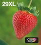 EPSON Ink/29XL Strawberry CMYK (C13T29964511)
