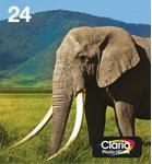 EPSON 24 Multipack Easy Mail Packaging - 6-pack - svart, gul, cyan , magenta, ljus magenta, ljus cyan - original - box - bläckpatron - för Expression Photo XP-55, XP-760, XP-850, XP-860, XP-950 (C13T24284510)