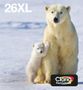 EPSON Ink/26XL Polar Bear CMYK (C13T26364511)