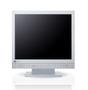 EIZO 17" DuraVision FDS1721T Gray