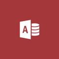 MICROSOFT ACCESS OLV LIC/SA PK NL 1YR ADDTL PROD IN