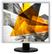 AOC E719SDA 43.2CM 17IN LED 1000:1 250CD/QM 5MS IN MNTR