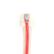 BLACK BOX Patch Cable CAT5e UTP - Red 6m Factory Sealed
