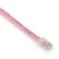BLACK BOX Patch Cable CAT6 UTP Basic - Pink 1.5m Factory Sealed