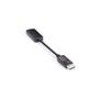 BLACK BOX ACTIVE DISPLAYPORT 1.2 