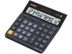 CASIO Bordregner CASIO DH-12TER