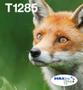 EPSON n Ink Cartridges,  DURABrite" Ultra, T1285, Fox, Multipack,  1 x 3.5 ml Cyan, 1 x 3.5 ml Yellow, 1 x 5.9 ml Black, 1 x 3.5 ml Magenta, M (C13T12854511)