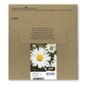 EPSON n T1806 Easy Mail Packaging - 4-pack - 15.1 ml - black, yellow, cyan, magenta - original - box - ink cartridge - for Expression Home XP-212, 215, 225, 312, 315, 322, 325, 412, 415, 422, 425 (C13T18064511)