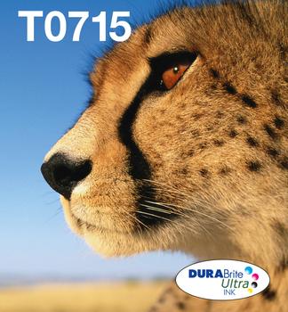 EPSON n Ink Cartridges,  DURABrite" Ultra, T0715, Cheetah, Multipack,  1 x 5.5 ml Magenta, 1 x 5.5 ml Yellow, 1 x 7.4 ml Black, 1 x 5.5 ml Cyan (C13T07154511)