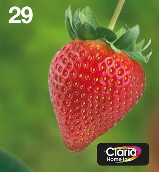EPSON n Ink Cartridges,  Claria" Home Ink, 29, Strawberry,  Multipack,  1 x 3.2 ml Cyan, 1 x 3.2 ml Magenta, 1 x 5.3 ml Black, 1 x 3.2 ml Yellow, Standard (C13T29864511)