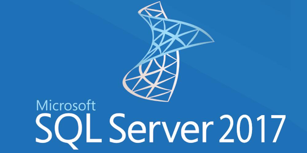 Ms sql in. Microsoft SQL.