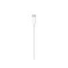 APPLE LIGHTNING TO USB-C CABLE (1M) . (MQGJ2ZM/A)