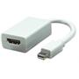 TECHLY Mini Displayport