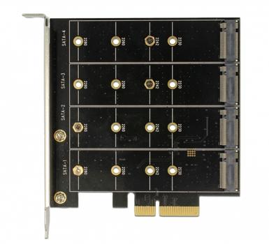 DELOCK Styreenhed til lagring (RAID)  (89888)