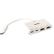 LINDY 4 Port USB 3.1 Gen 2 Type C Hub Factory Sealed