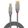 LINDY USB 2.0 Typ A an B Kabel Cromo Line 0.5m (36640)