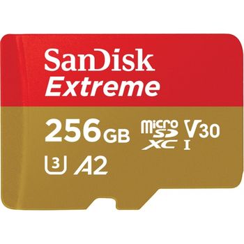 SANDISK Extreme microSDXC 256GB + SD Adapter + Rescue Pro Deluxe 160MB/s A2 C10 V30 UHS-I U5 (SDSQXA1-256G-GN6MA)