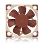 NOCTUA NF-A4x10 PWM 40x40x20 (NF-A4x10 PWM)