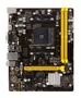 BIOSTAR Motherboard Amd A320 Socket  (A320MH)