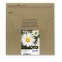 EPSON n 18XL Multipack Easy Mail Packaging - 4-pack - 31.3 ml - XL - black, yellow, cyan, magenta - original - blister - ink cartridge - for Expression Home XP-212, 215, 225, 312, 315, 322, 325, 412, 415, 4 (C13T18164511)