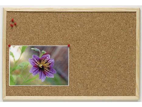 EMO Korktavle ESSELTE treramme øko 40x60cm (500963)