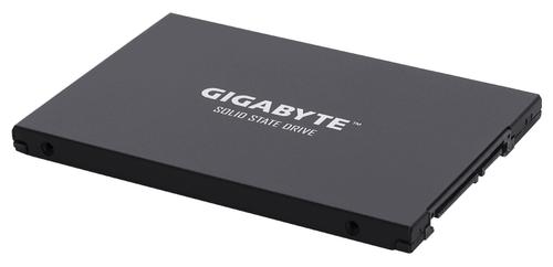 GIGABYTE Ud Pro 256 Gb 2.5" Serial Ata  (GP-GSTFS30256GTTD)