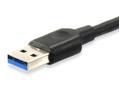 EQUIP USB 3.1 A MALE TO USB 3.0  (12834107)