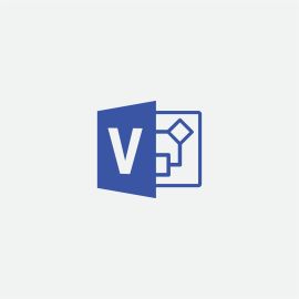 MICROSOFT t Visio Professional 2019 - Box pack - 1 PC - medialess - Win - English (D87-07432)