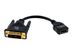 KRAMER Adaptorcable ADC-DM/HF DVI?D M to HDMI F Adapter Cable