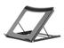 NEWSTAR Laptop Desk Stand