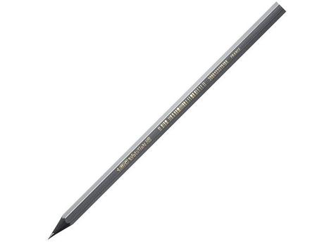 BIC evolution Pencils black (896017*12)