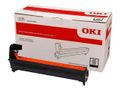 OKI EP Cartridge Black C612 30K