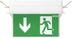 SiCurio ExitEasy-R IP40 Rating,
