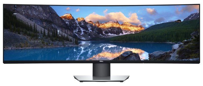 DELL UltraSharp 49 Curved U4919DW WLED 