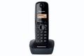 PANASONIC Kx-Tg1611 Dect Telephone  (KX-TG1611FXH)