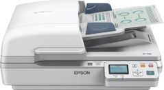 EPSON WORKFORCE DS-6500N SCANNER A4 /25 PPM / 1200DPI / USB       IN PERP
