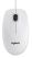 LOGITECH B100 OPTIC MOUSE F/ BUSINESS WH OEM ML ACCS