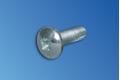 VERTIV OVAL HEAD SCREW FormZ M5x10 SPECIAL OR