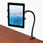 STARTECH Gooseneck Tablet Mount (ARMTBLTUGN)