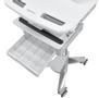 ERGOTRON STYLEVIEW CART WITH LCD ARM LIFE POWERED DOUBLE DRAWER CH PERP (SV44-12A2-C)