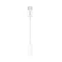 HUAWEI Adapter AM20 / CM20 - USB Type-C to 3,5mm white BULK (55030086)