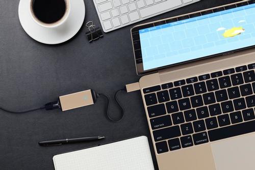 SATECHI Interface Cards/ Adapter (ST-TCENG)