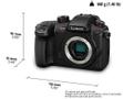 PANASONIC Digital Milc Milc Body 10.28  (DC-GH5SE-K)