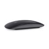 APPLE MAGIC MOUSE 2 SPACE GREY IN