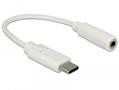 DELOCK Audio Adapter USB Type-C™ male > Stereo Jack female 14 cm