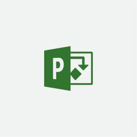 MICROSOFT PROJECT PRO 2019 WIN ENGLISH MEDIALESS            IN LICS (H30-05763)