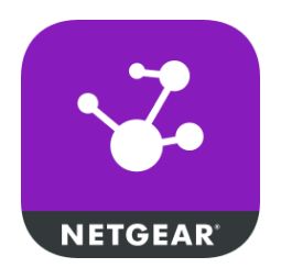 NETGEAR INSIGHT PRO 1 SINGLE 1 YEAR (NPR1SNG1-10000S)