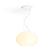 PHILIPS Hue Flourish taklampe 1x31W 24V, Hvit og farget stemning. Inklusiv dimmerbryter